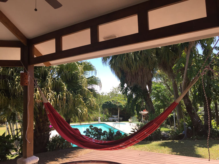 Hammock and view to  the pool